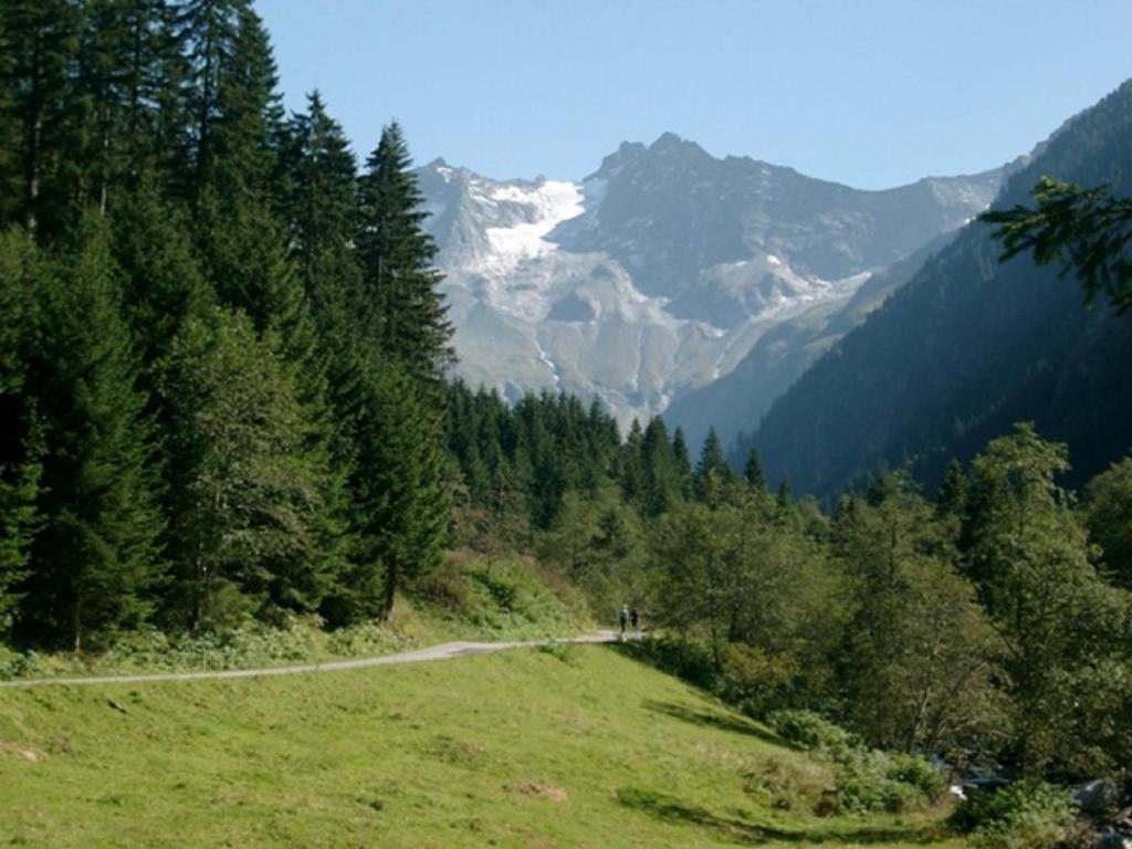 Chalet Helene Mayrhofen Exterior foto